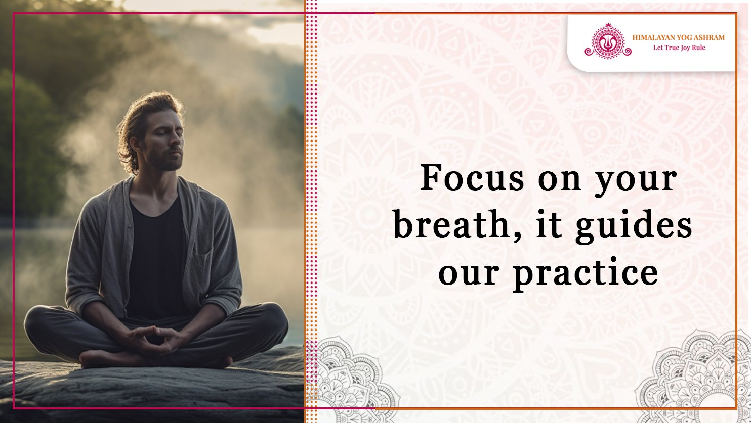 Focus on your breath, it guides your practice.