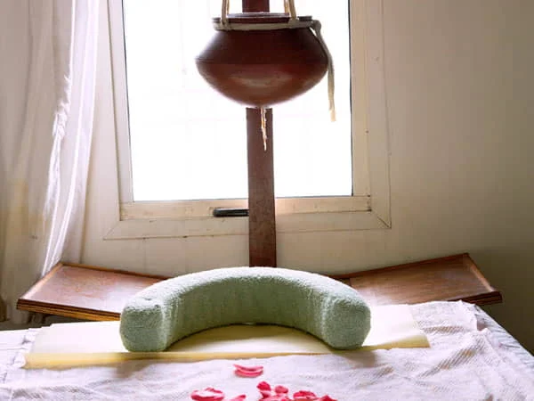 Ayurveda Marma Certification — Ayurveda course in Rishikesh